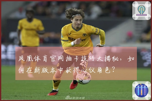 凤凰体育官网抽卡技巧大揭秘，如何在新版本中获得心仪角色？